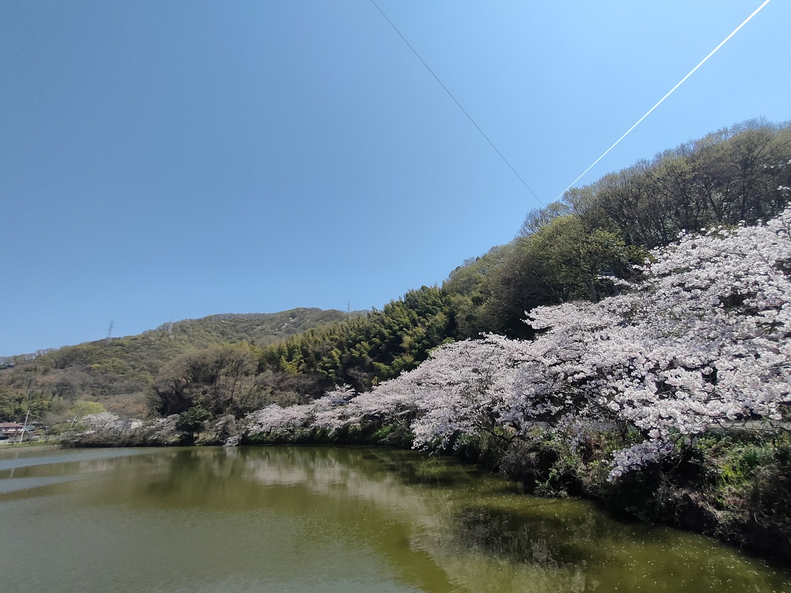アトリエの風景